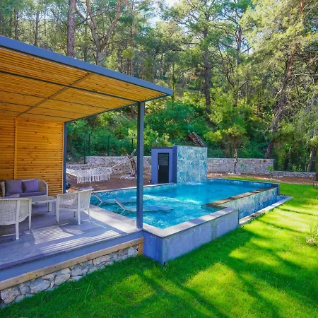 Beautiful Pine Valey In Forest Villa Fethiye