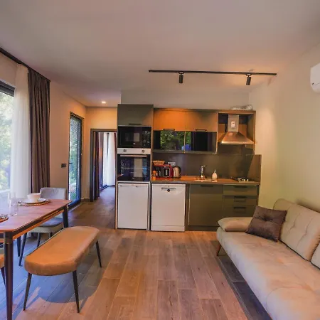 Villa Beautiful Pine Valey In Forest Fethiye