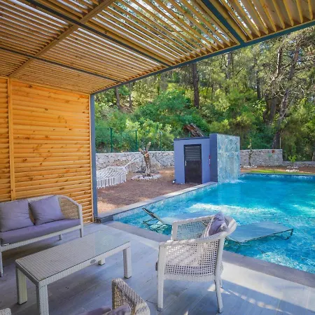 Villa Beautiful Pine Valey In Forest Fethiye