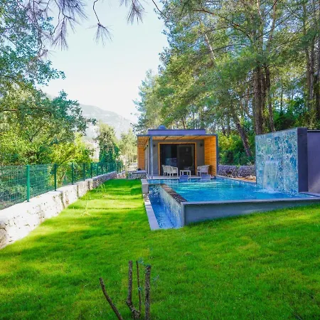 Beautiful Pine Valey In Forest Fethiye