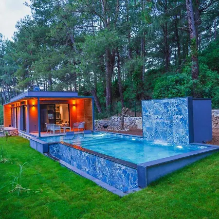 Villa Beautiful Pine Valey In Forest *