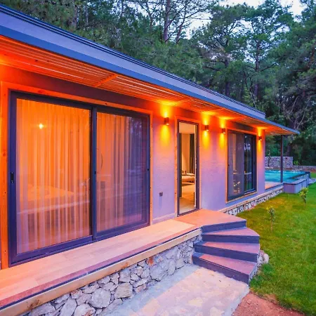 Beautiful Pine Valey In Forest Villa Fethiye