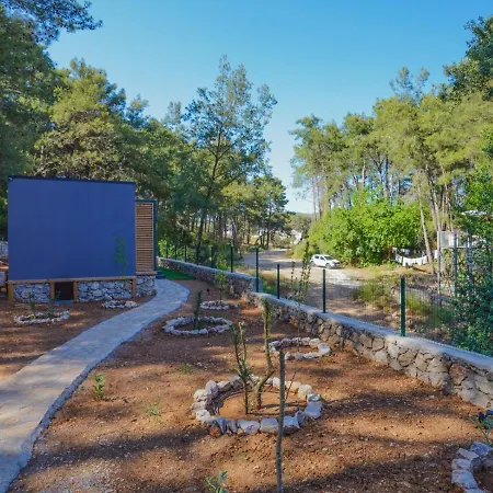 Beautiful Pine Valey In Forest Fethiye