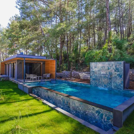 Villa Beautiful Pine Valey In Forest *