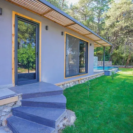 Beautiful Pine Valey In Forest Villa
