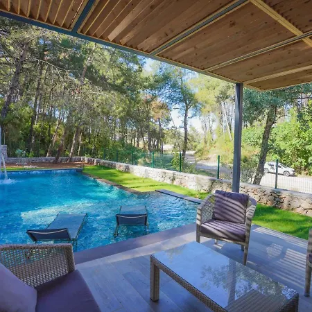 Villa Beautiful Pine Valey In Forest *